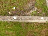 image of grave number 809137